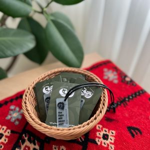 آویز شهید آوینی